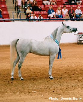 She's So Gigi ( Richter MH x Thee Sharaqa ) 
